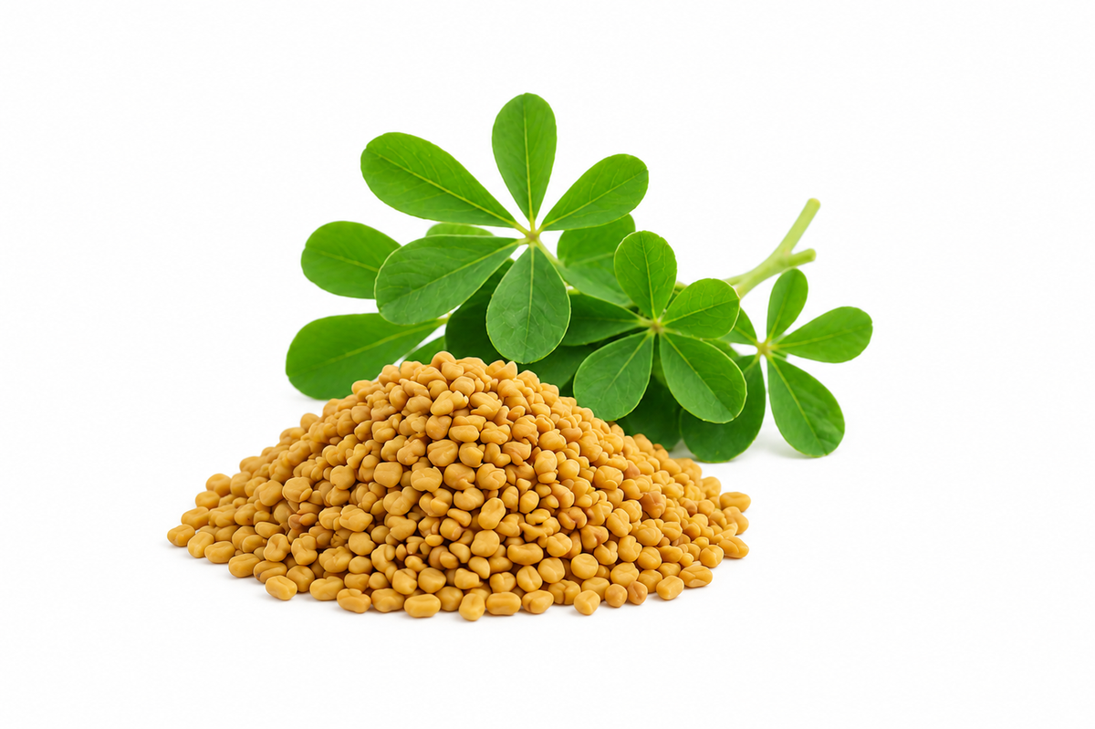 Fenugreek